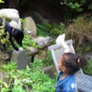 Meet your Posher, Leilani